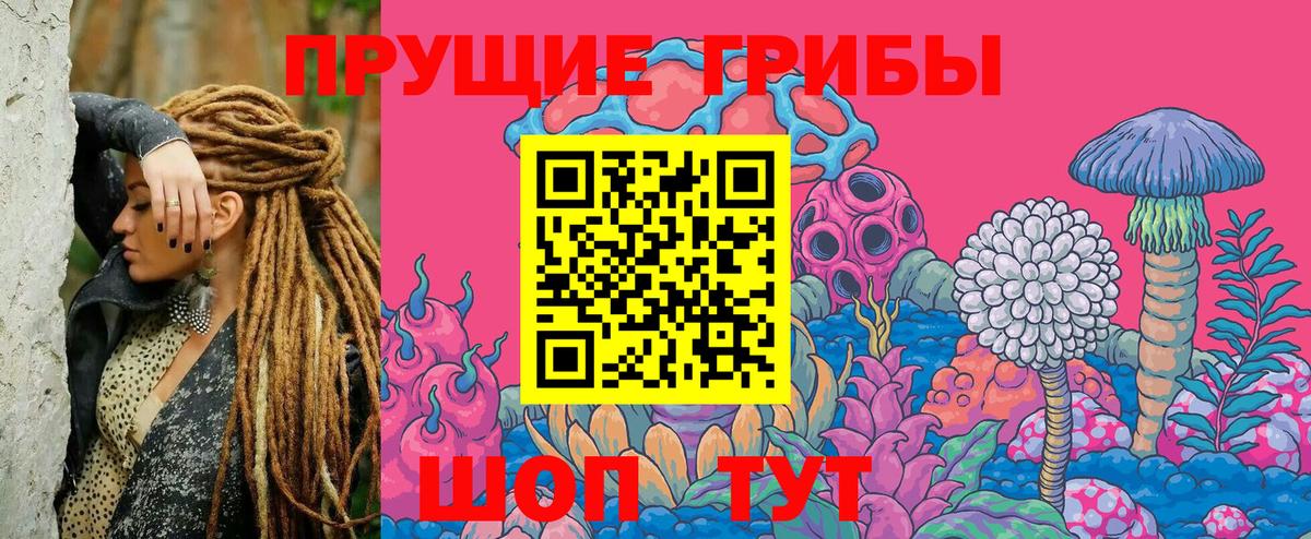 Галлюциногенные грибы Psilocybe  Вход с VPN  Псилоцибиновые грибы Magic Shrooms  Азов 