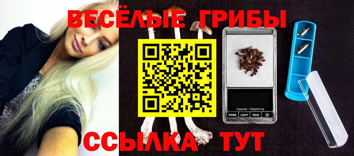 Галлюциногенные грибы GOLDEN TEACHER Азов